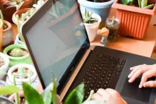 Plant nursery business for sale in New Zealand